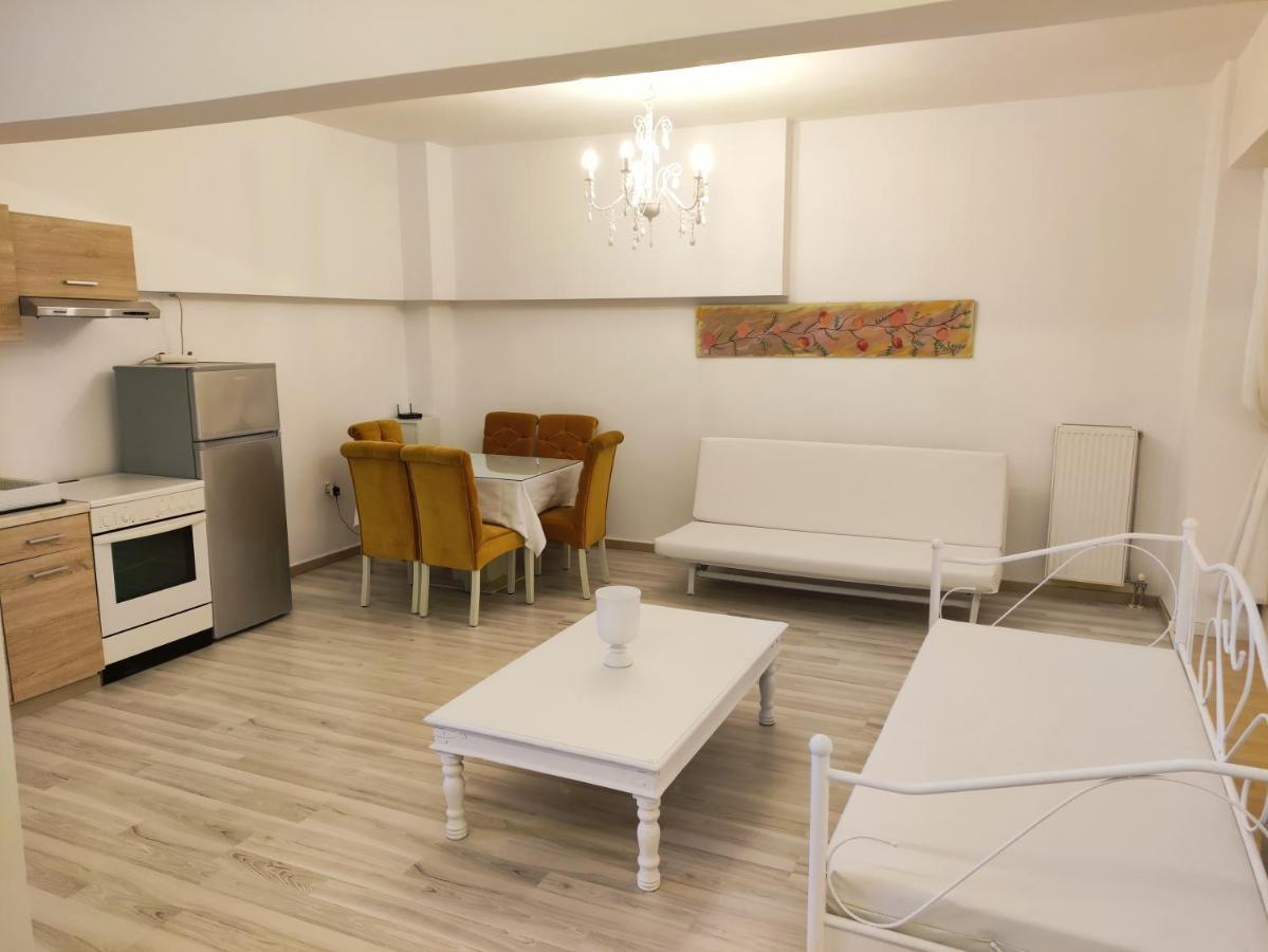 Superior Chic Family Apartment Kalambaka Extérieur photo